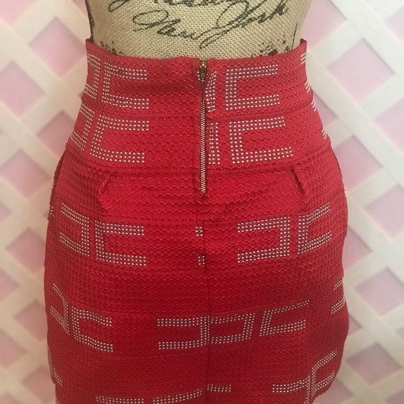 Gorgeous skirt - Picture 2 of 5